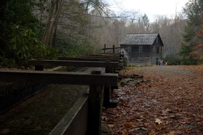 IMAGE: http://i140.photobucket.com/albums/r1/cbbeachbum/3105_b_a.jpg