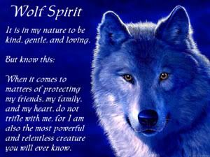wolf spirit lookalike