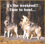 WEEKEND HOWL