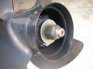 DSCN2093.jpg