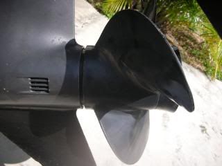 DSCN2100.jpg