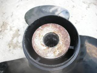 DSCN2104.jpg