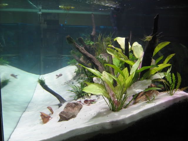 AquarioItaquera008.jpg