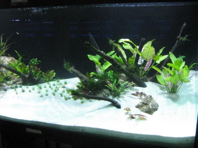 AquarioItaquera009.jpg