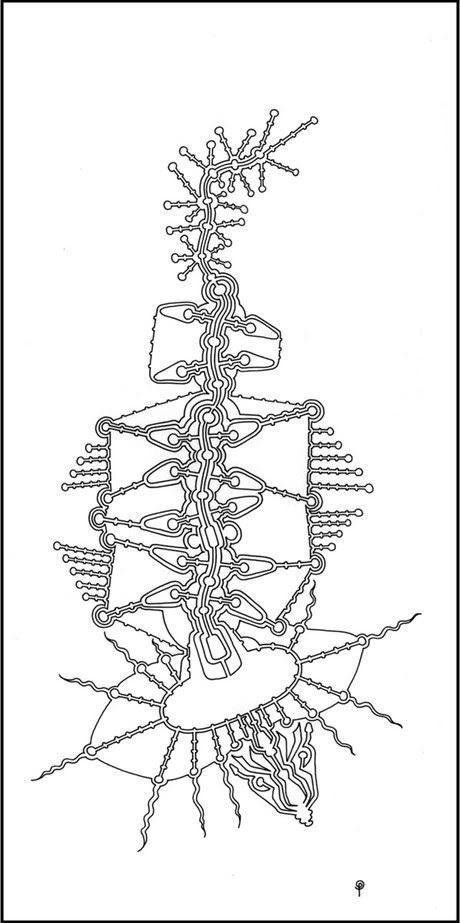 Circuits*cycles*lines*points ~ First a review of what I bring along to say Hello ~ Circuits*cycles*lines*points ~ First a review of what I bring along to say Hello ~