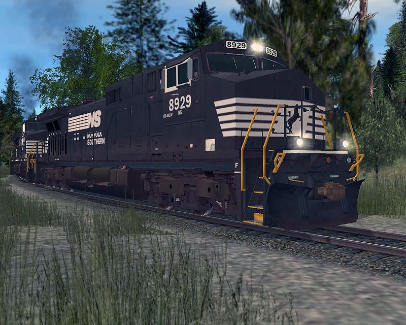 NS-1.jpg