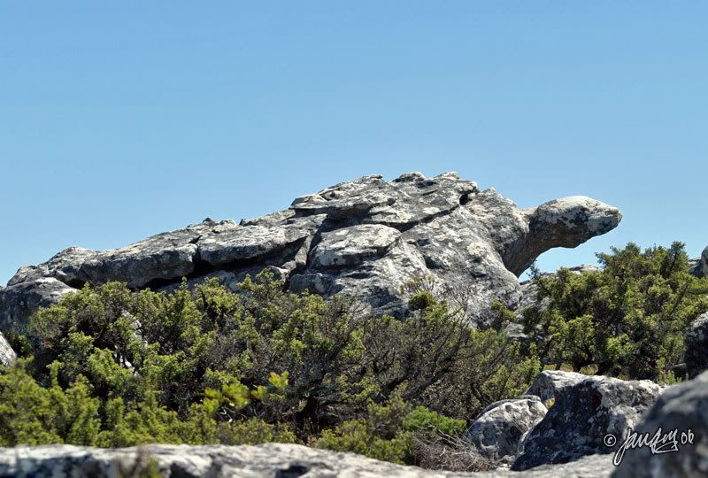 IMAGE: http://i140.photobucket.com/albums/r12/jgdphoto/0375.jpg