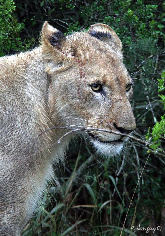 IMAGE: http://i140.photobucket.com/albums/r12/jgdphoto/0448.jpg