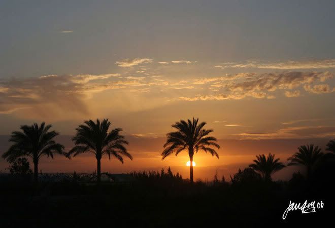 IMAGE: http://i140.photobucket.com/albums/r12/jgdphoto/0798.jpg