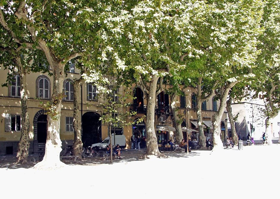 IMAGE: http://i140.photobucket.com/albums/r12/jgdphoto/6978cad1-47eb-430e-bfb8-f0848fbf3daa_zpsec787a10.jpg