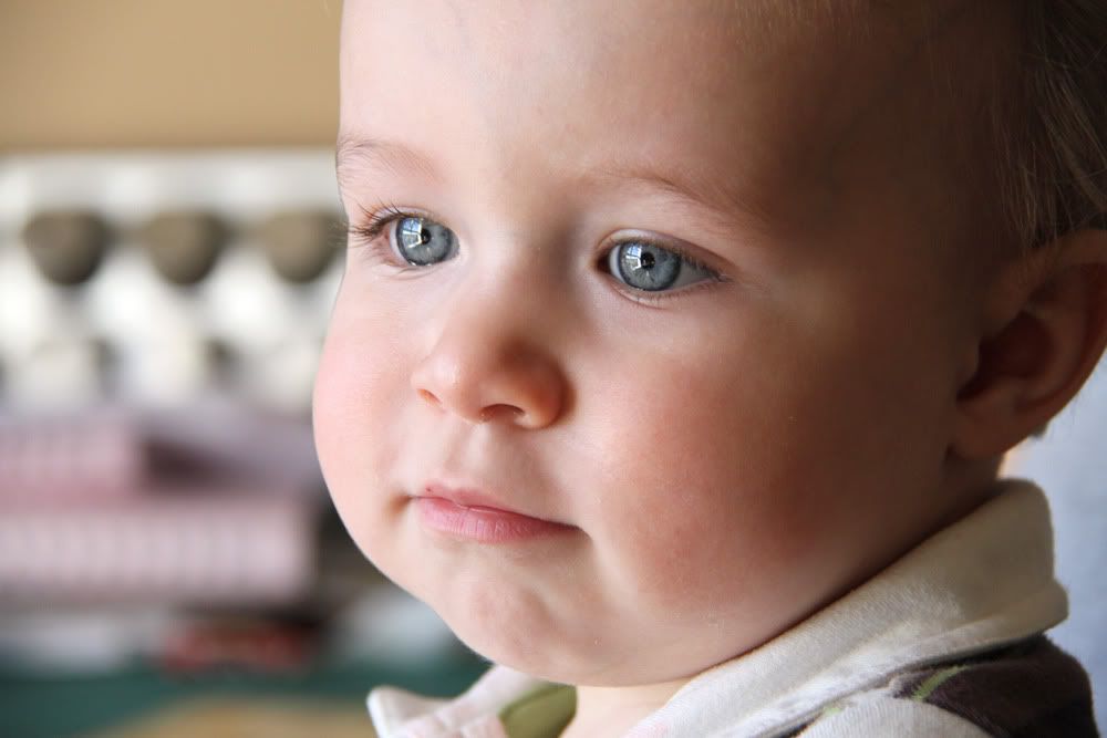 IMAGE: http://i140.photobucket.com/albums/r12/jgdphoto/IMG_1185.jpg