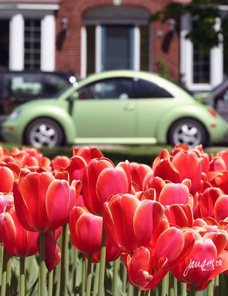 IMAGE: http://i140.photobucket.com/albums/r12/jgdphoto/IMG_9285.jpg