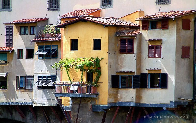 IMAGE: http://i140.photobucket.com/albums/r12/jgdphoto/O0028-2.jpg