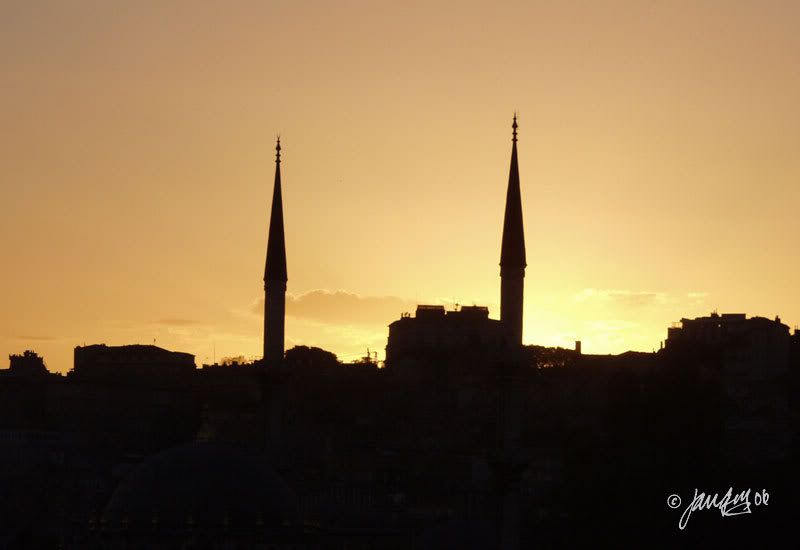 IMAGE: http://i140.photobucket.com/albums/r12/jgdphoto/P9060319.jpg