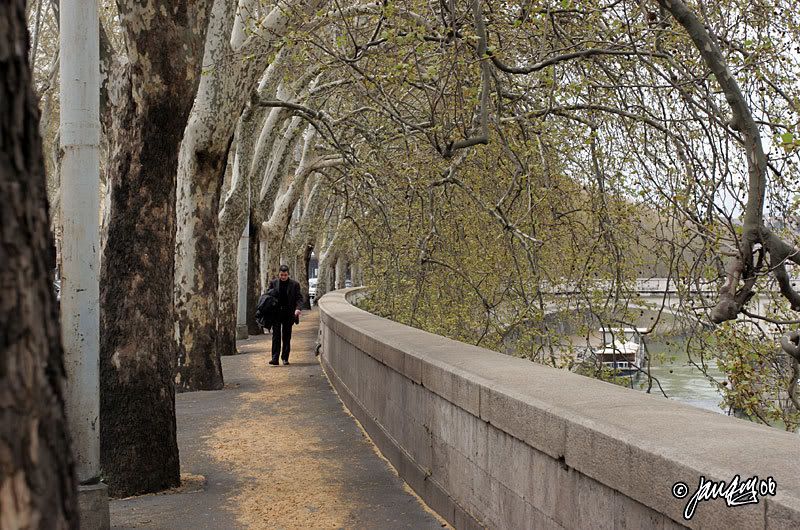 IMAGE: http://i140.photobucket.com/albums/r12/jgdphoto/Rom00030.jpg