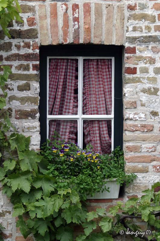 IMAGE: http://i140.photobucket.com/albums/r12/jgdphoto/ben0277.jpg