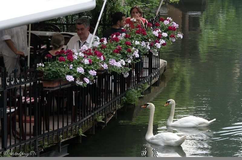 IMAGE: http://i140.photobucket.com/albums/r12/jgdphoto/benelux918.jpg