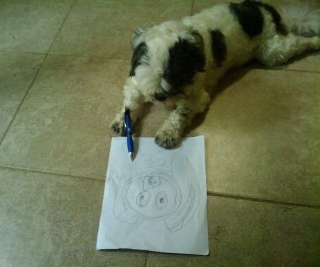 dog-who-can-draw-his-self-portrait-1076-1287280478-72.jpg