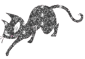 glitter kitty