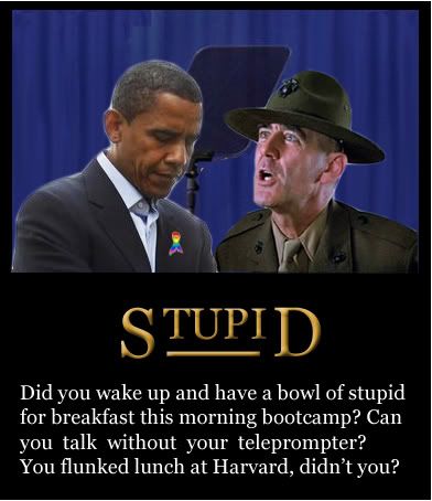 Obama Stupid