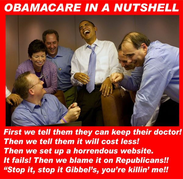 obamacare photo: Obamacare In a Nutshell ObamacareNutshell_zpsca885b3d.jpg
