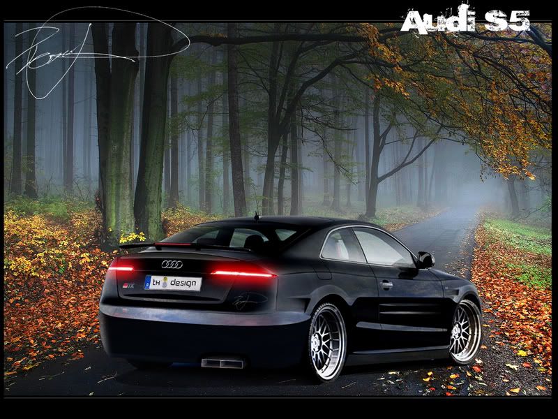 AudiS5TKVersion.jpg