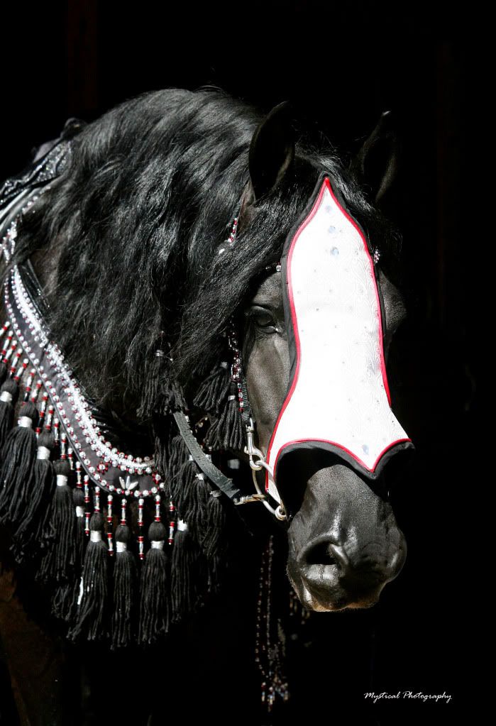 IMAGE: http://i140.photobucket.com/albums/r15/MysticalP/Steffen.jpg