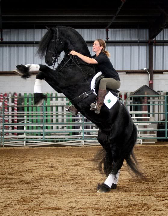 IMAGE: http://i140.photobucket.com/albums/r15/MysticalP/tijejessica.jpg