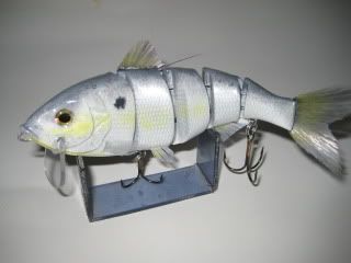 threadfin shad, wake bait, 6