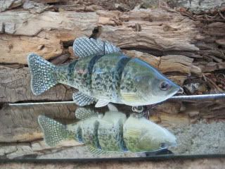 crappie, sinking, 5 1/2