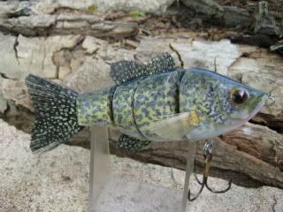 black crappie, 5" total length, 1.3 oz.