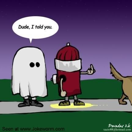 funny halloween Pictures, Images and Photos