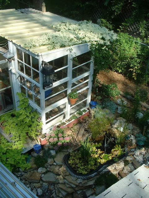 arialgreenhouse1.jpg