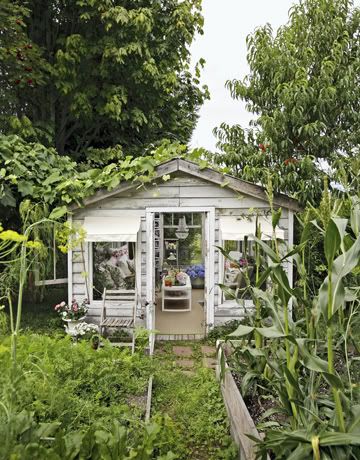greenhouse-exterior-de-37094954.jpg