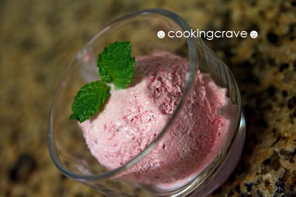 Strawberry Yoghurt Icecream 2