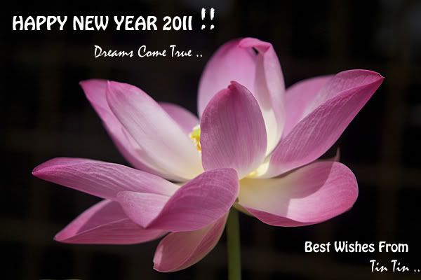 Happy New Year 2011 ..