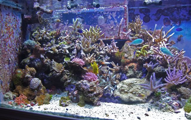 DSC_0206_edited-2.jpg
