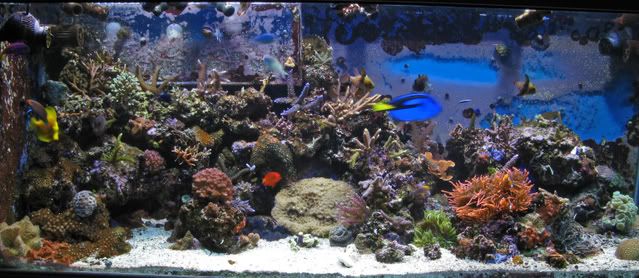 IMG_0061_edited-1.jpg