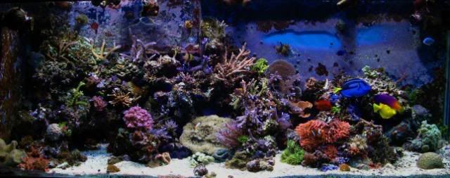 IMG_0382_edited-1.jpg