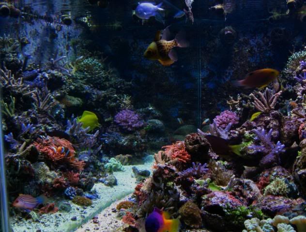 IMG_0385_edited-1.jpg