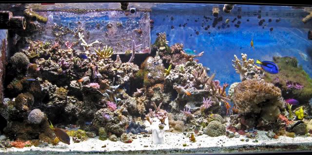 IMG_1585_edited-1.jpg