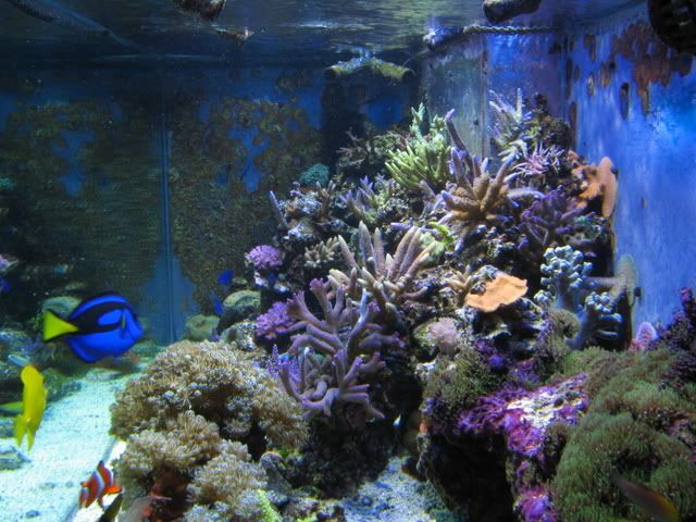 IMG_2264.jpg