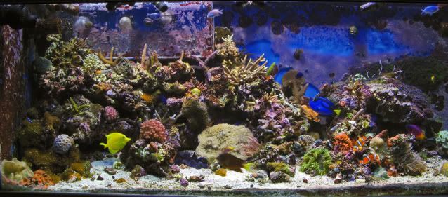 IMG_2781_edited-1.jpg