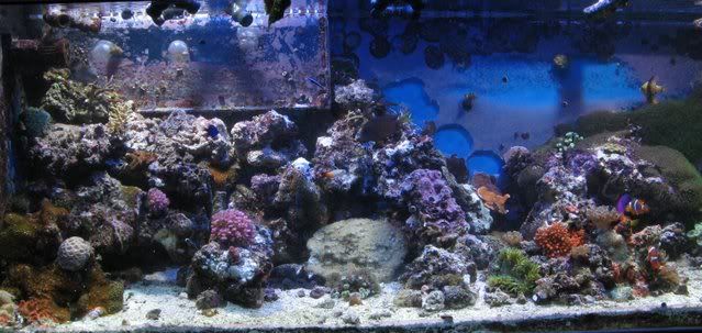 fts-aefw.jpg
