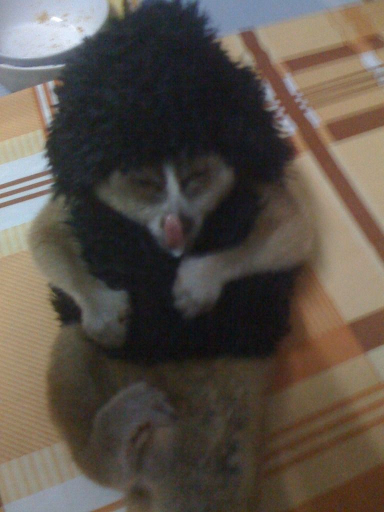 Hình đã gửi