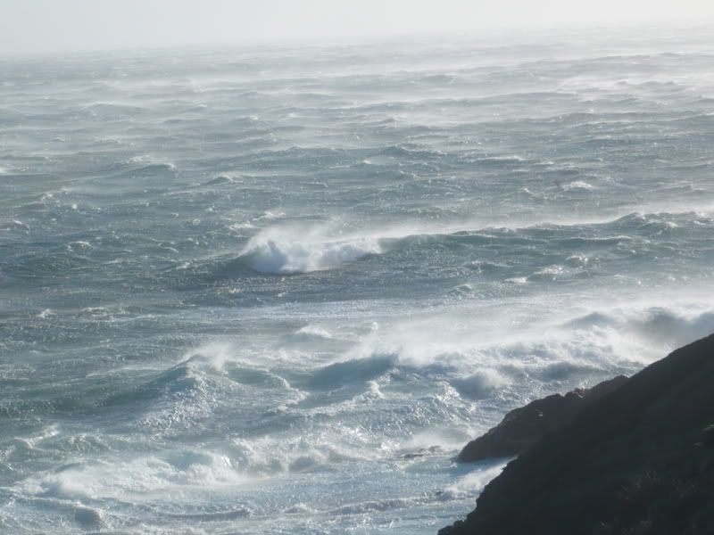 P1000793.jpg