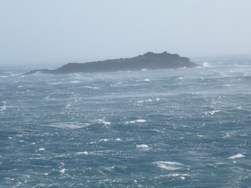P1000795.jpg