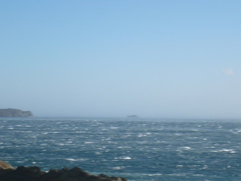 P1000804.jpg
