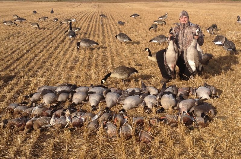 Avian x goose decoys Alberta Outdoorsmen Forum