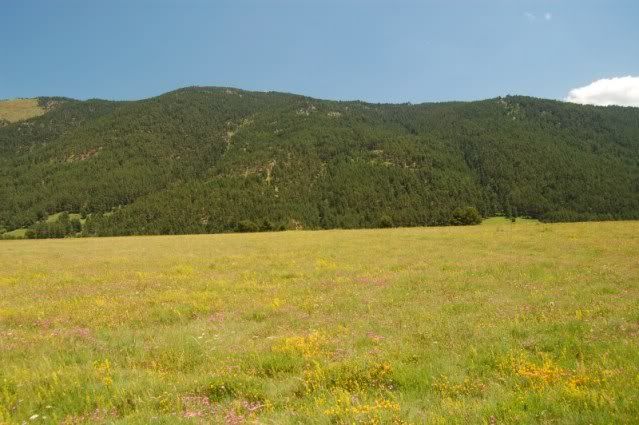 DSC_9326.jpg